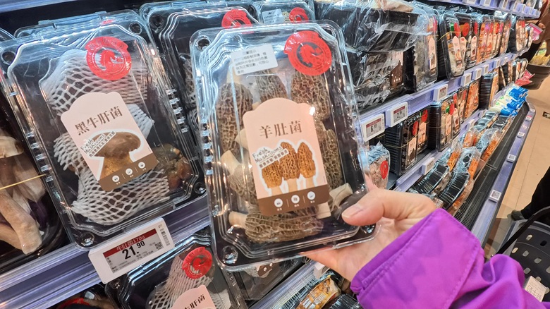 出典私ミシェリー@HKGlossy.comによる撮影. 中国深セン羊肚菌きのこ 香港では見かけない珍しい中国食材